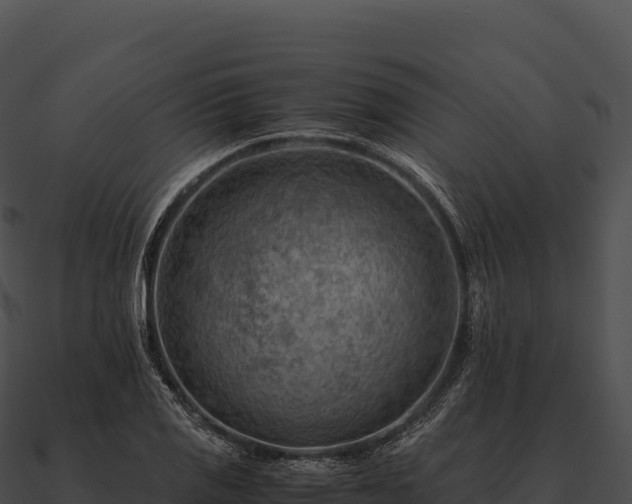 X0000090881125200708031025