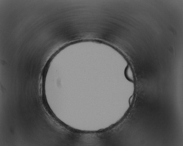 X0000090881126200708031025