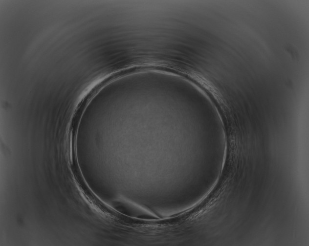 X0000090881127200708031025