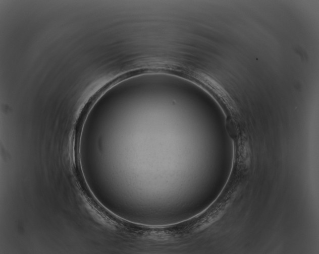 X0000090881128200708031025