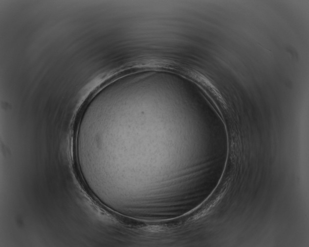 X0000090881130200708031025