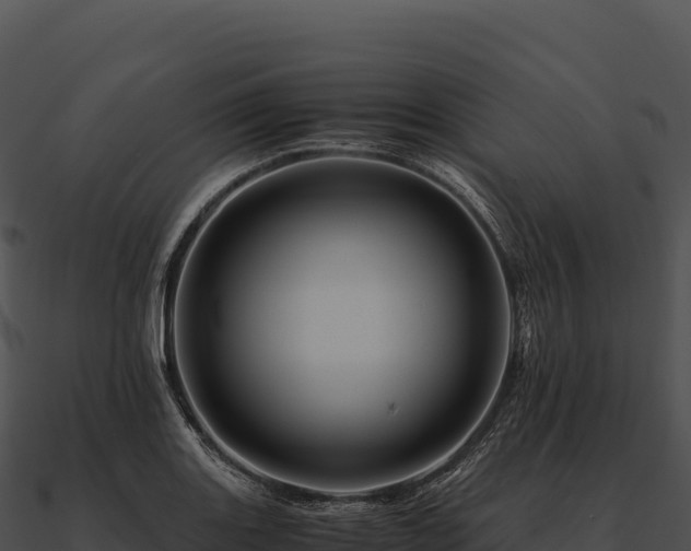 X0000090881131200708031025
