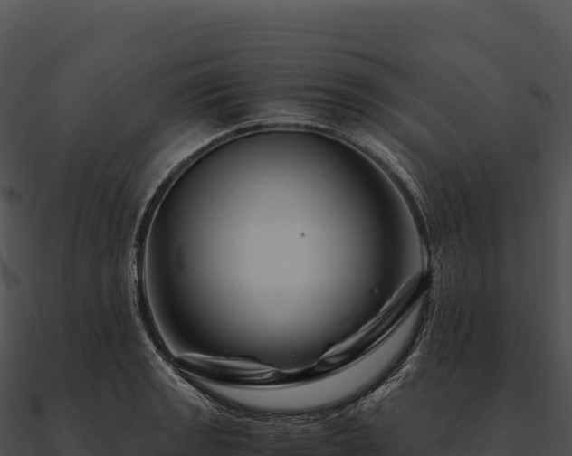 X0000090881133200708031025