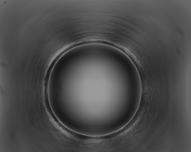 X0000090881134200708031025