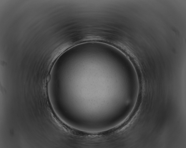 X0000090881137200708031025