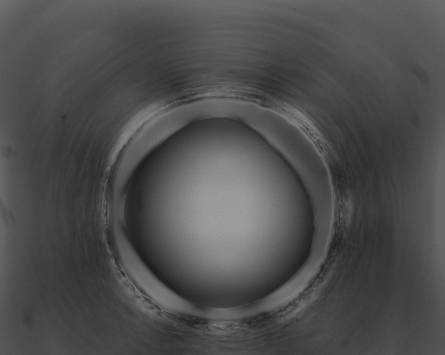 X0000090881138200708031025