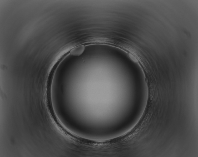 X0000090881139200708031025