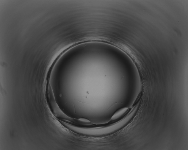 X0000090881140200708031025