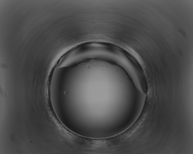 X0000090881144200708031025