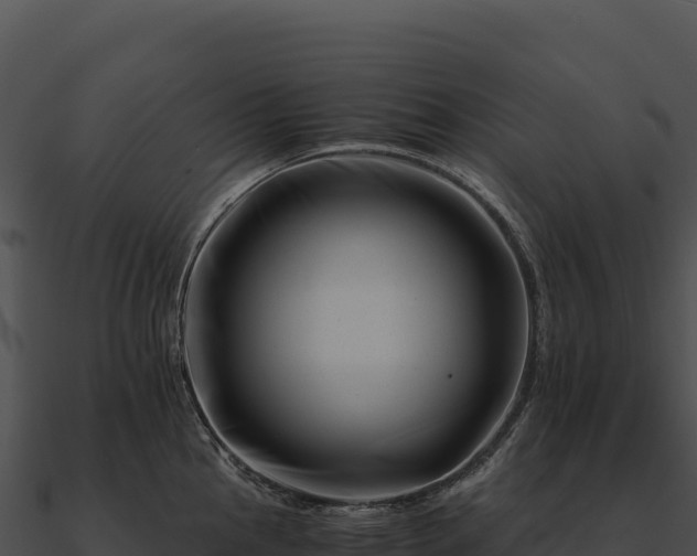 X0000090881145200708031025