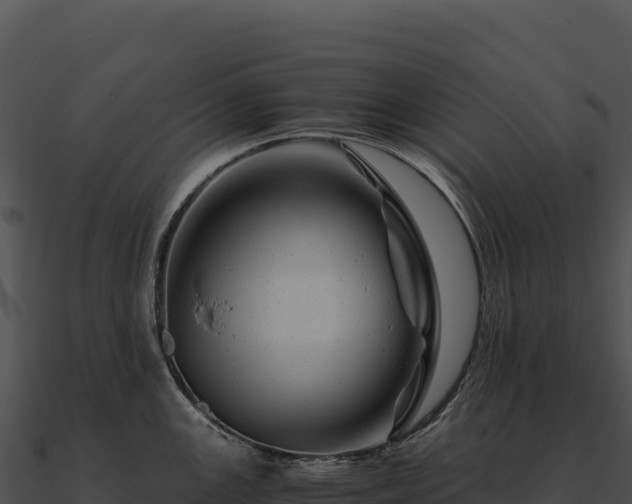 X0000090881147200708031025