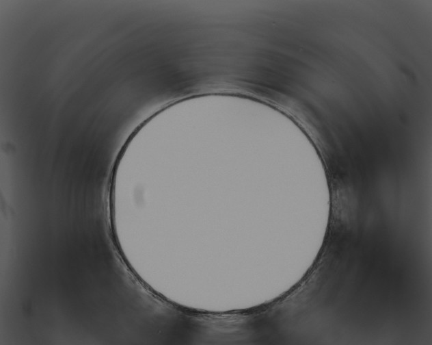 X0000090881150200708031026