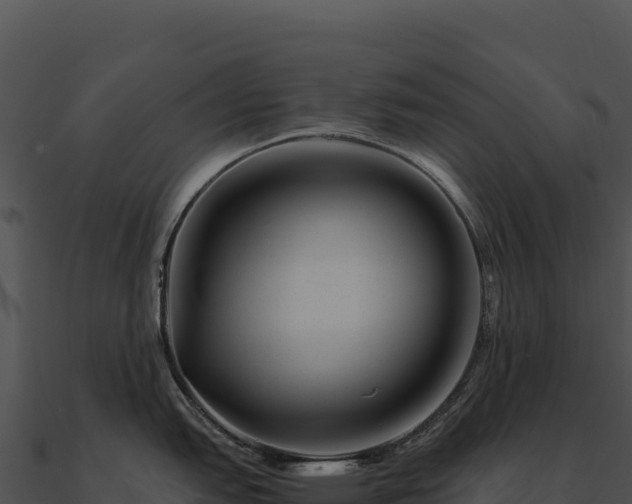X0000090881151200708031026
