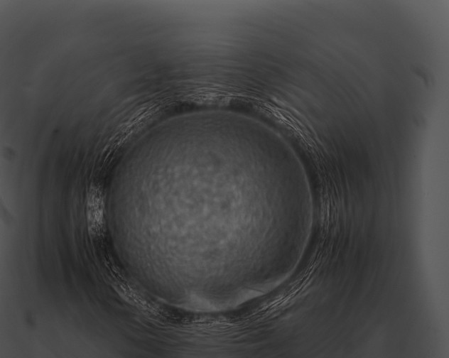 X0000090881154200708031025