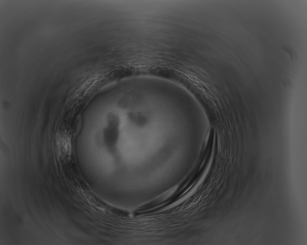 X0000090881155200708031025
