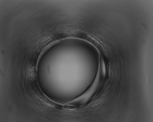 X0000090881156200708031025