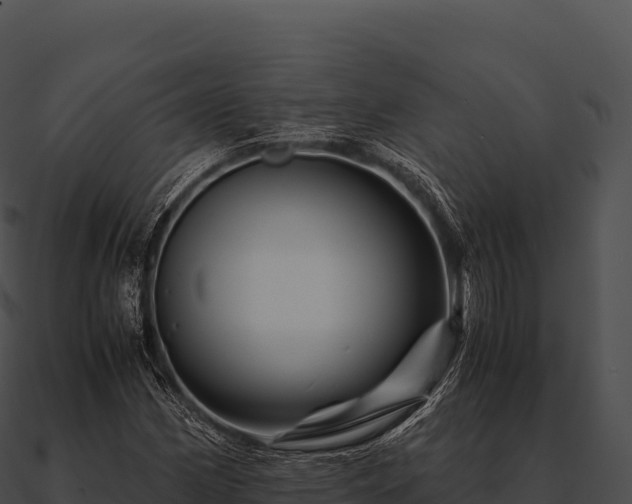 X0000090881162200708031025