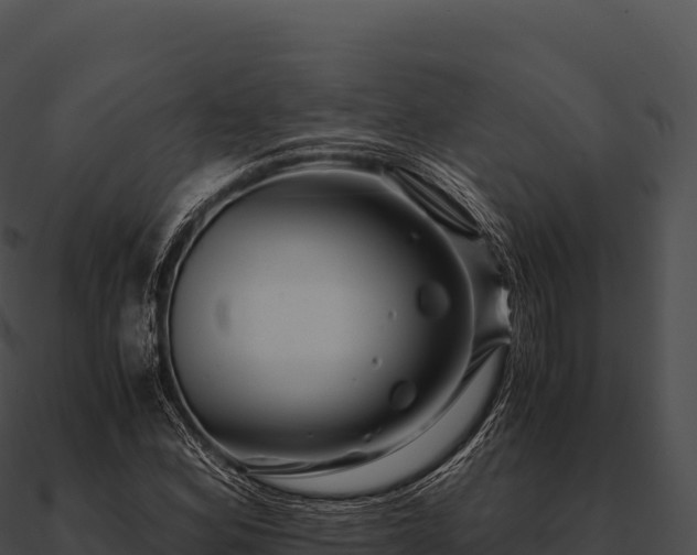 X0000090881164200708031025