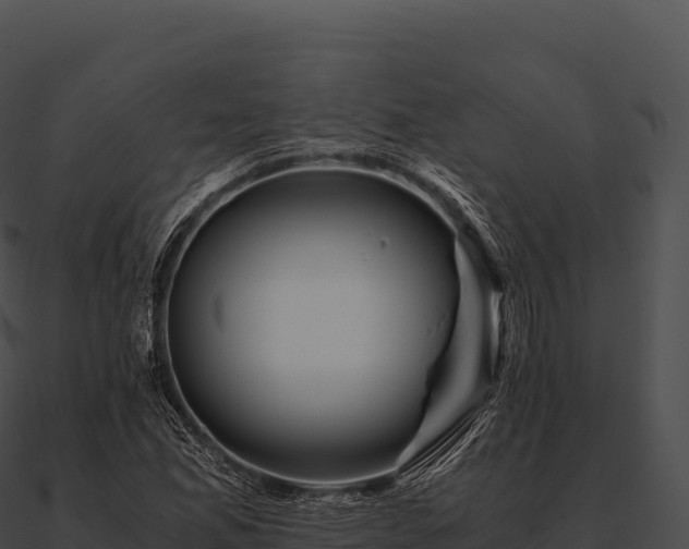 X0000090881165200708031025