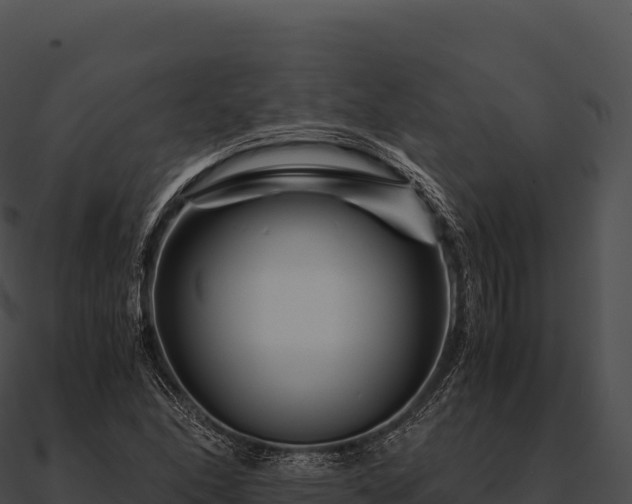 X0000090881166200708031025