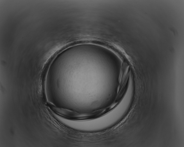 X0000090881167200708031025