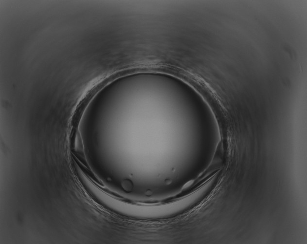 X0000090881168200708031025