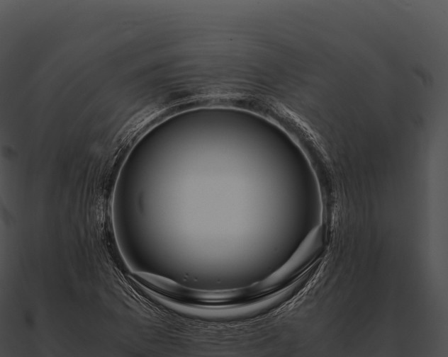 X0000090881169200708031025