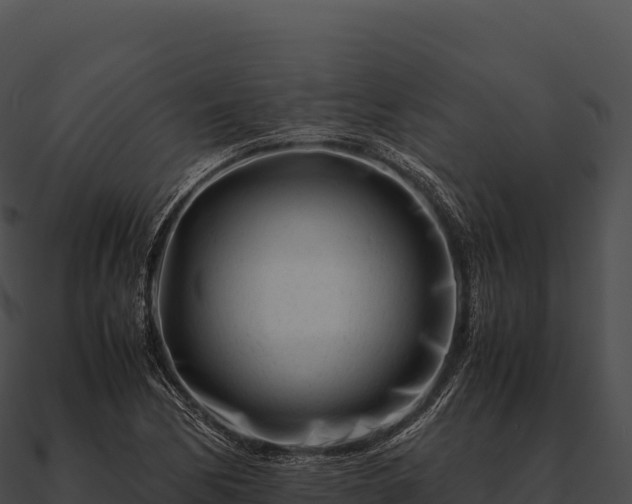 X0000090881170200708031025