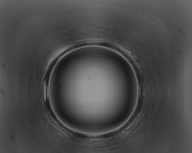 X0000090881171200708031025