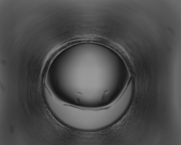 X0000090881172200708031025