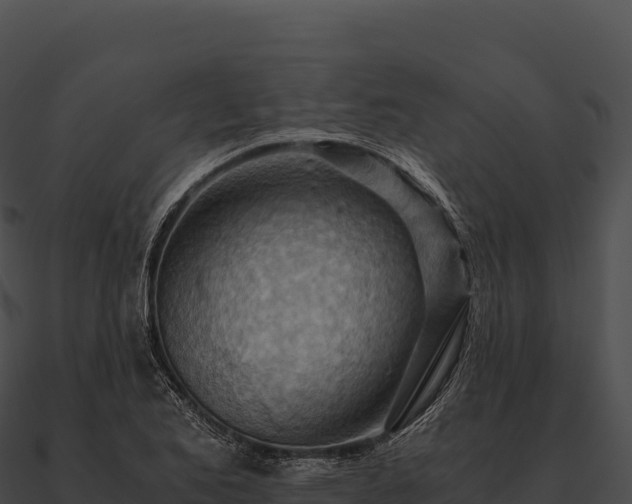X0000090881173200708031025