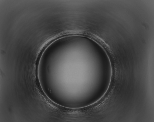 X0000090881174200708031024