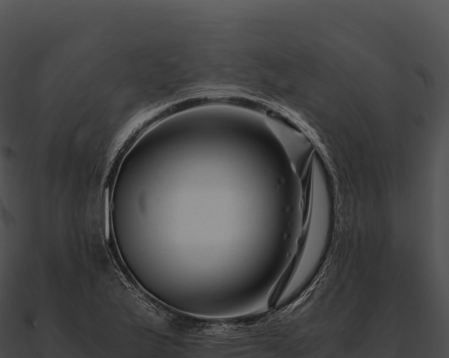 X0000090881175200708031024