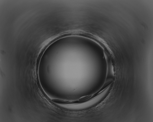 X0000090881176200708031024