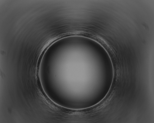 X0000090881178200708031024