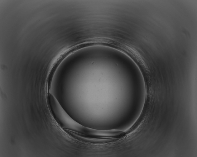 X0000090881180200708031024