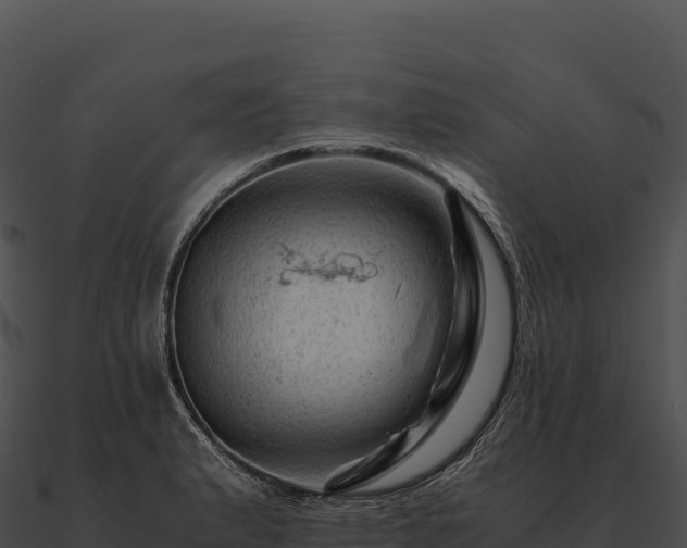 X0000090881183200708031024