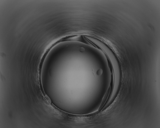 X0000090881184200708031024