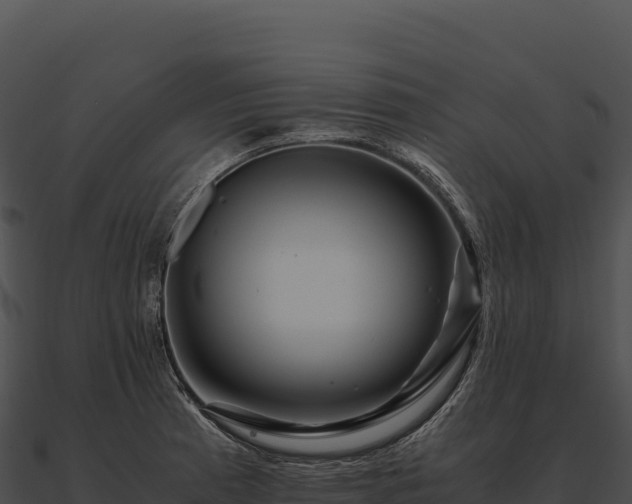 X0000090881185200708031024