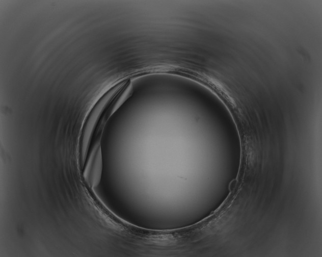 X0000090881186200708031024
