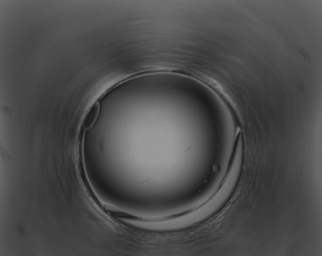X0000090881187200708031024