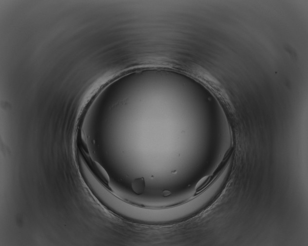 X0000090881188200708031024