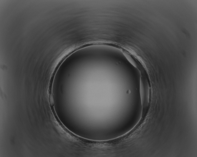 X0000090881189200708031024