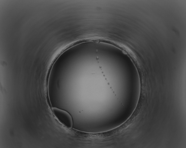 X0000090881191200708031024