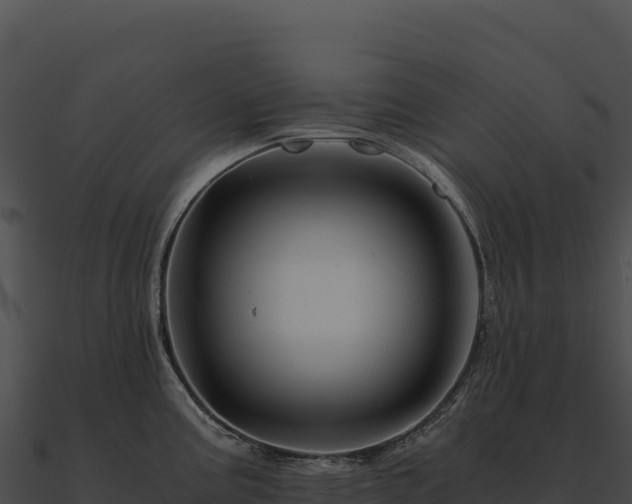 X0000090881195200708031024