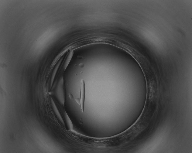X0000090881198200708031024