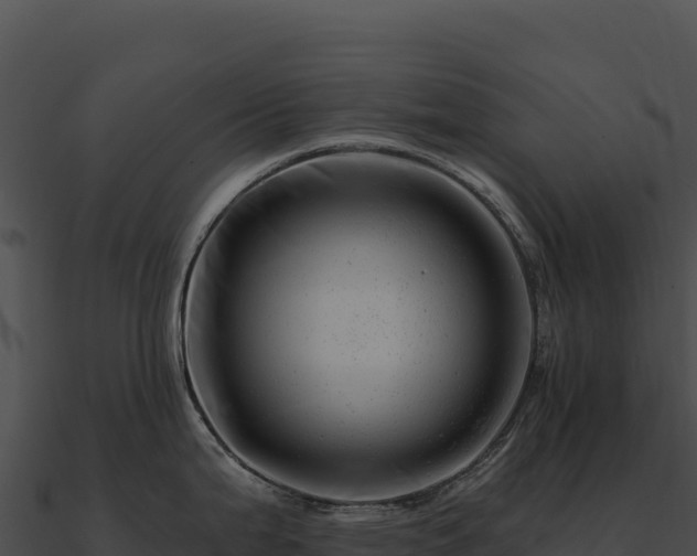X0000090881199200708031024
