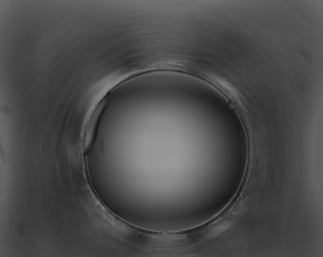 X0000090881200200708031024