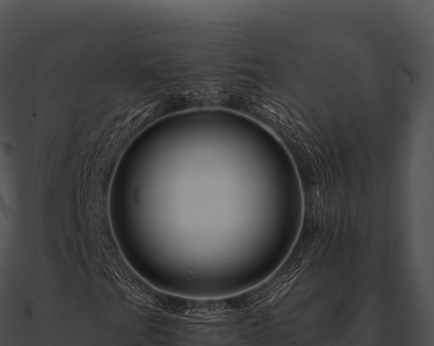 X0000090881201200708031024