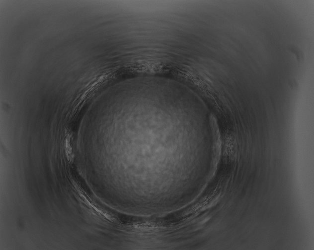 X0000090881202200708031024